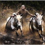Las mejores fotos del 2010 por National Geographic