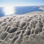 Desierto de Sonora: donde las dunas se encuentran con el océano