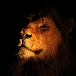 National Geographic Photo Contest 2012 National Geographic Photo Contest 2012