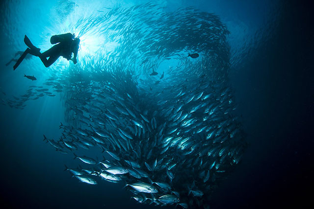 Submarinista jureles Indonesia