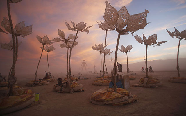 Burning Man 2014