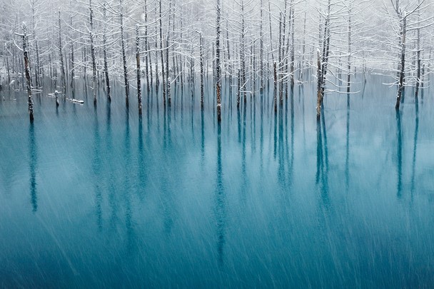 estanque azul japon