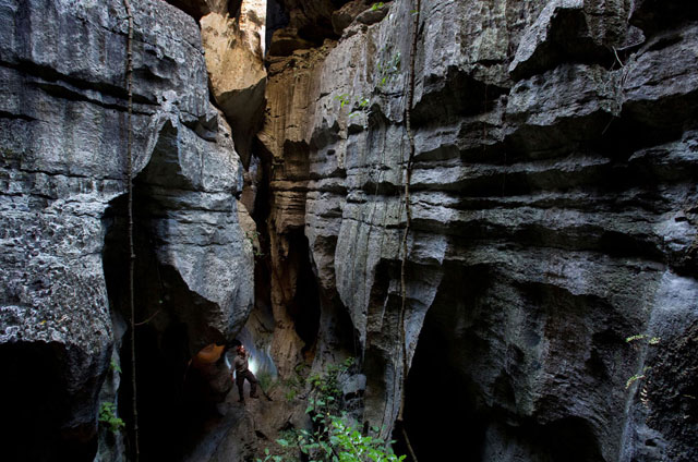 Bosque de piedra de Tsingy