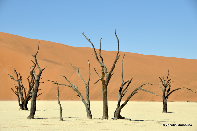 Deadvlei