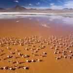 Paisajes de ensueño desde el Altiplano boliviano